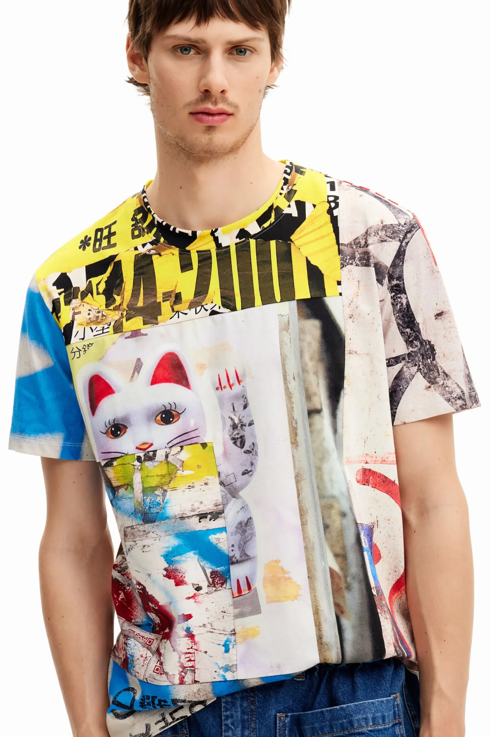 Camisetas-Desigual Camiseta japan street