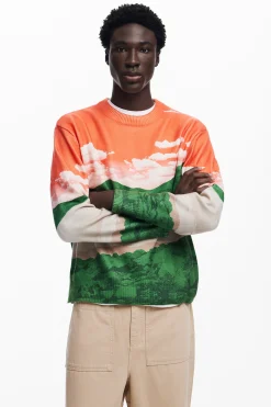 Jerséis Y Sudaderas-Desigual Jersey paisaje