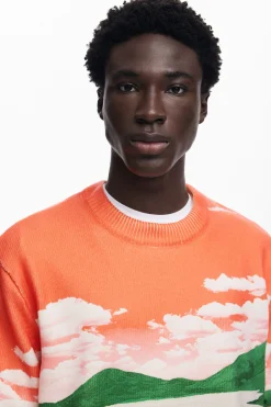 Jerséis Y Sudaderas-Desigual Jersey paisaje