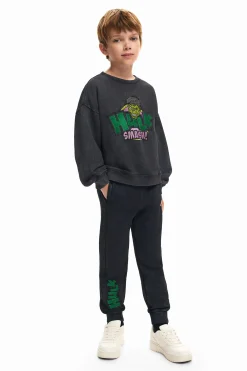Jerséis Y Sudaderas-Desigual Sudadera Hulk